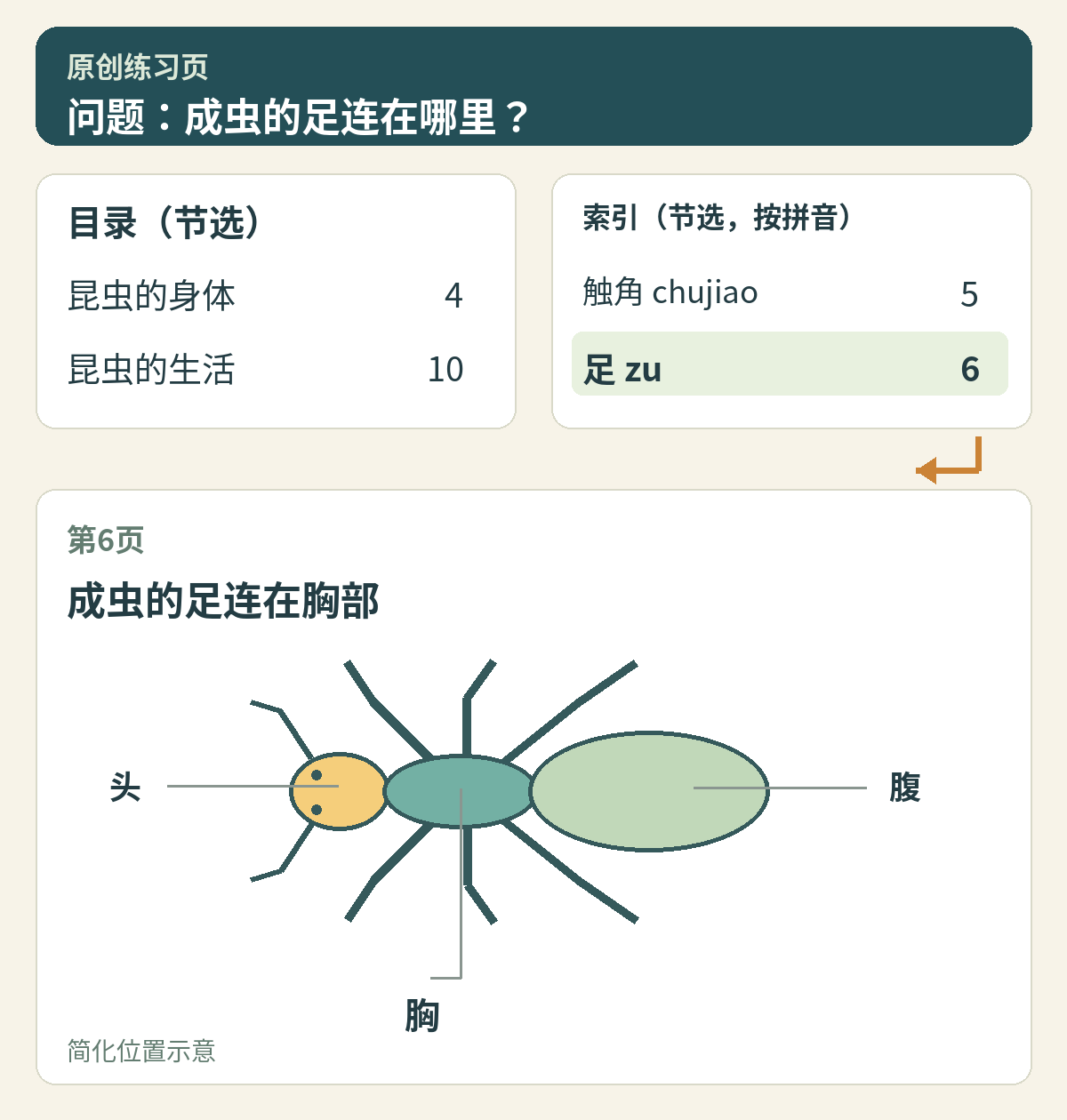 目录、索引与成虫图